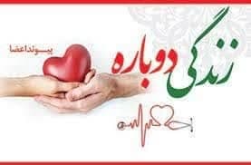 سی امین اهدای عضو سال جاری در یزد
