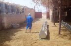 سمپاشی سلامت دام و انسان را تضمین میکند سمپاشی سلامت دام و انسان را تضمین میکند