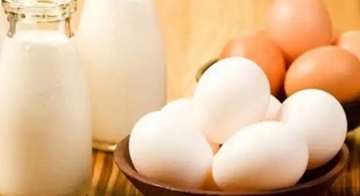 رتبه اول شهرستان مهریز در تولید شیر و تخم مرغ استان