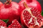 پیش بینی برداشت ۱۲۱ هزار تن انار از باغات استان یزد