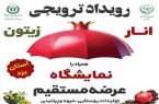 برگزاری رویداد ترویجی انار و زیتون در یزد