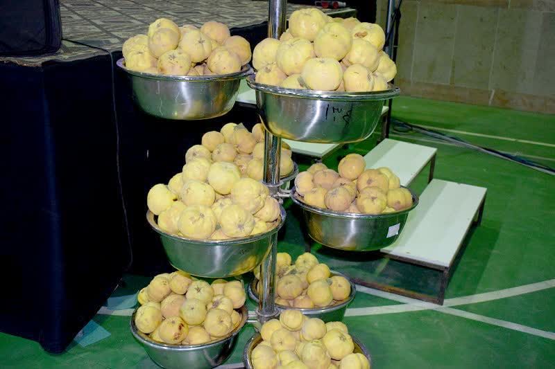 برگزاری نخستین جشنواره استانی “به” در بهاباد