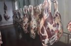 خرید و ذخیره سازی گوشت قرمز و مرغ در استان