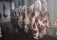 خرید و ذخیره سازی گوشت قرمز و مرغ در استان