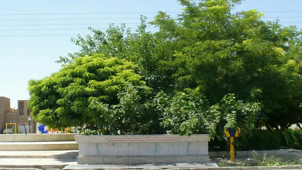 بیش از ۲۲۰ ایستگاه برداشت، آب شرب شهروندان اردکانی را تامین می کند