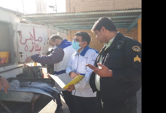 ممانعت از فروش و توزیع ماهی خوراکی توسط خودروی دوره گرد در زارچ