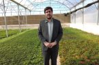 کاشت بیش از یک میلیون و ۶۰۰ هزار بوته گل فصلی و دائمی