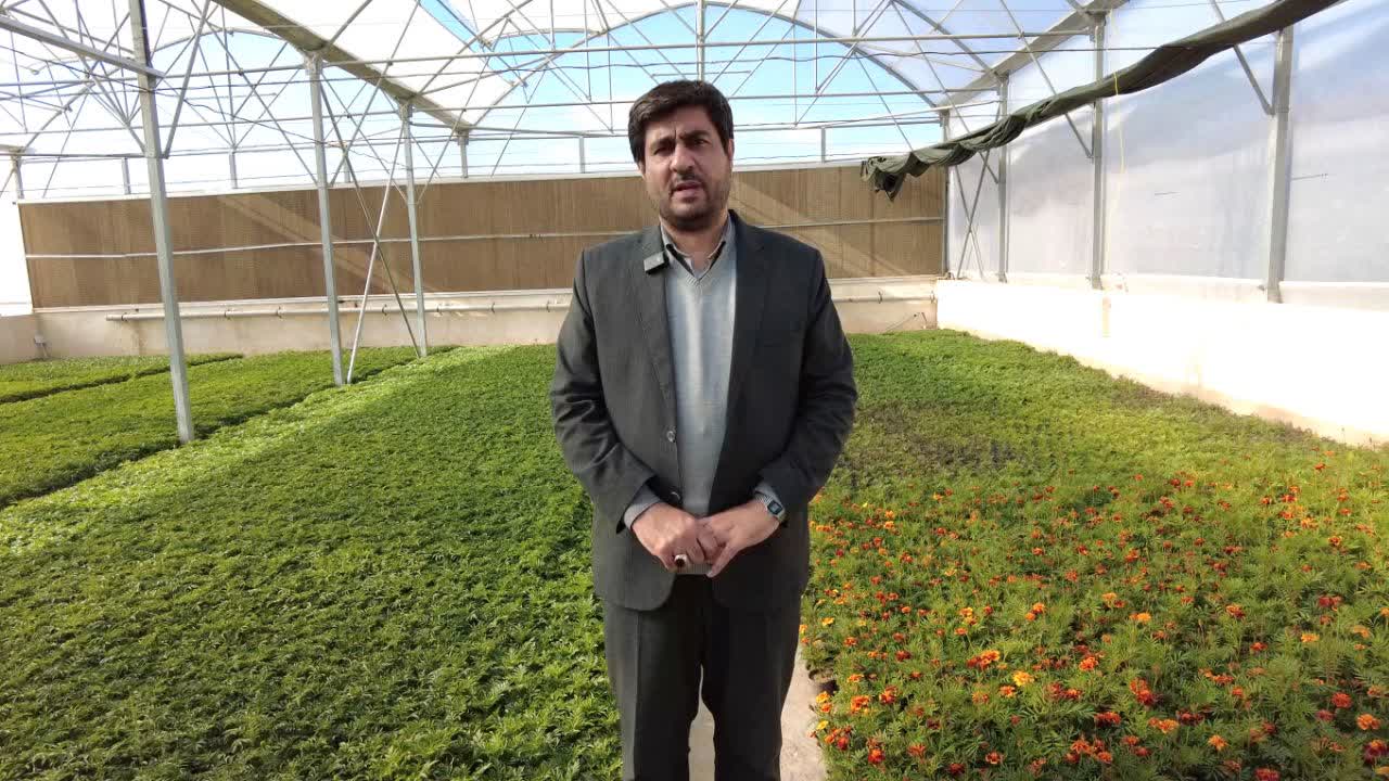 کاشت بیش از یک میلیون و ۶۰۰ هزار بوته گل فصلی و دائمی