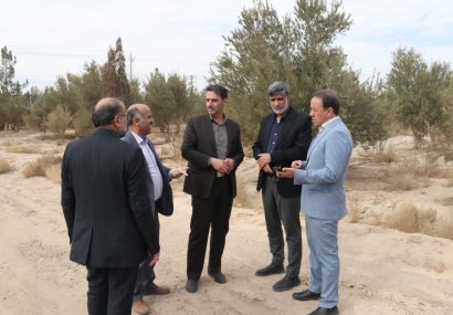 ساخت کمپ و پارک شاهدیه یزد باعث توسعه صنعت گردشگری می شود