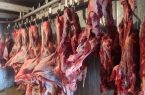 فعالیت ۱۴ کشتارگاه و قربانگاه موقت استان یزد در عید قربان