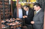 عرضه میوه با کیفیت ۱۵ درصد زیر قیمت بازار