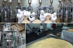 گام بلند محیط‌ زیستی اردکانی‌ها در مسیر تولید محصولات کنجدی