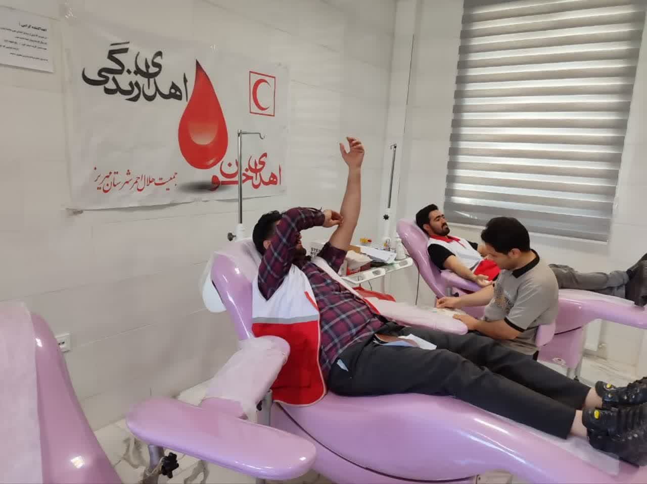اجرای طرح حمایت ماندگار در مهریز