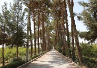 باغ تالار شاهدیه در مسیر تبدیل شدن به مقصد نوین گردشگری یزد