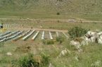 مزایای سرشماری کلنی های زنبورعسل
