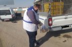 برخورد با فروش غیرمجاز پرندگان در زارچ برخورد با فروش غیرمجاز پرندگان در زارچ