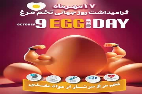 یزد پیشتاز در تولید تخم مرغ کشور/ تولید روزانه ۱۲۰ تن تخم مرغ در استان