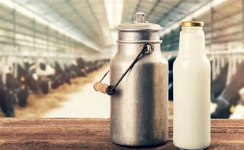 مهریز؛ قطب تولید شیر در استان یزد