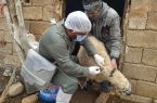 اردوی جهادی دامپزشکی به مناسبت دهه فجر انقلاب اسلامی در شهرستان خاتم برگزار شد اردوی جهادی دامپزشکی به مناسبت دهه فجر انقلاب اسلامی در شهرستان خاتم برگزار شد