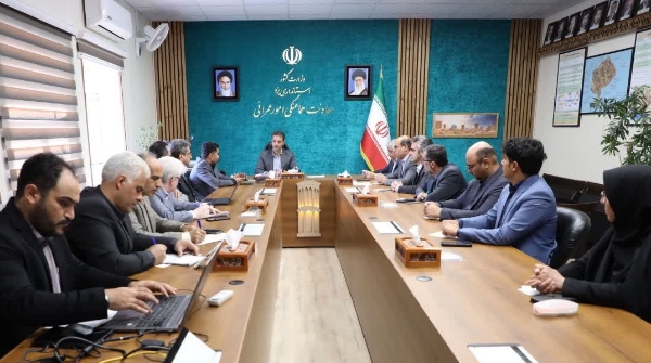 مهریز قطب تولید گوشت قرمز با احداث مگافارم ها