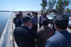 کنترل جمعیت پشه در تصفیهخانه یزد به صورت مدام در حال انجام است