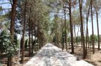 بوستان بانوان حضرت معصومه(س) یزد؛ نگینی سبز در دل کویر بوستان بانوان حضرت معصومه(س) یزد؛ نگینی سبز در دل کویر