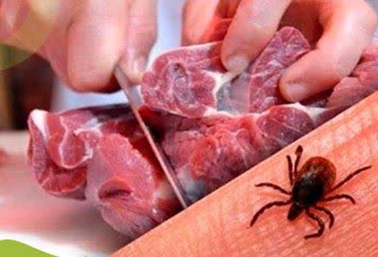 بیماری تب کریمه کنگو در کمین است